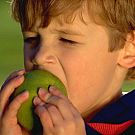 Правилната диета повишава интелектуалните способности на децата